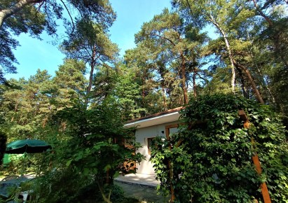dom na wynajem - Tarnowskie Góry, Pniowiec