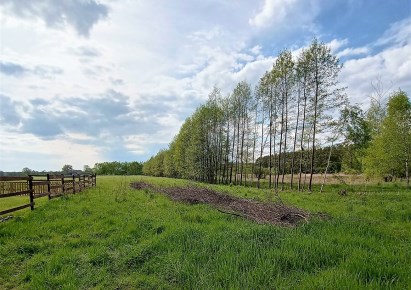 działka na sprzedaż - Wielowieś, Czarków